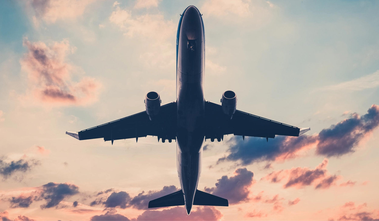 772d72dc-3607-43a3-ae90-b3172ddd8490