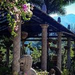 Vallarta Botanical Gardens Office
