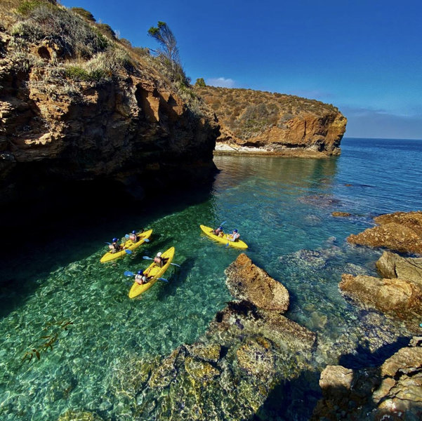 Channel Islands Kayak Tour