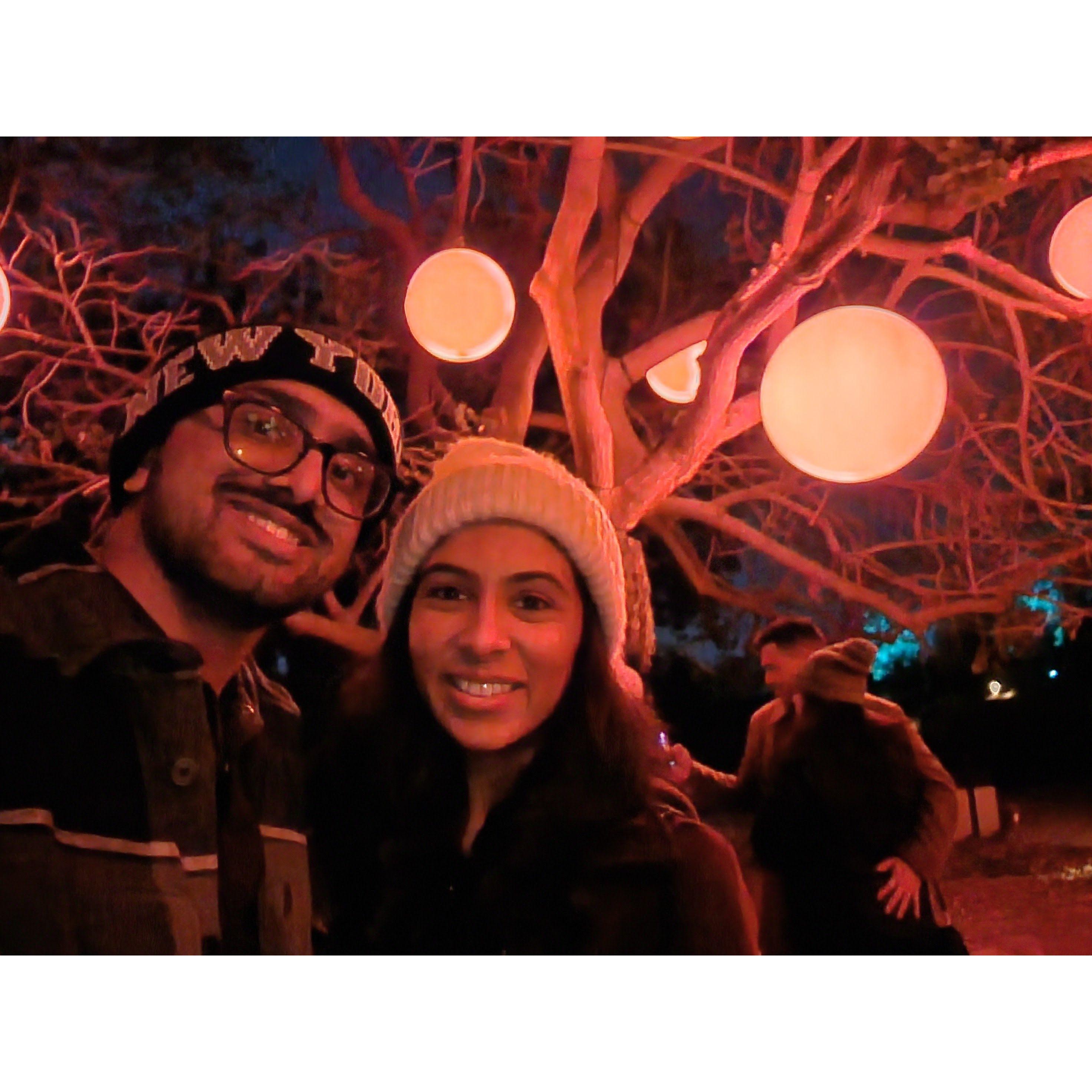 Christmas Lights 2022