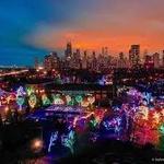 Lincoln Park Zoo (zoo lights)