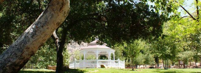 The Wedding Website of Emerson McMurtry and Noah Tazwell Zuniga Williams