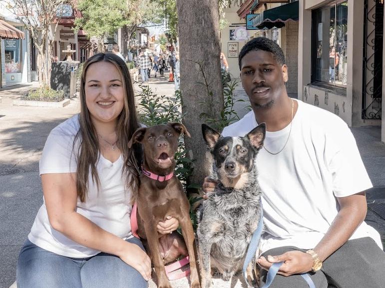 77324105-3ff8-4d7d-ae1d-b50df655cc63