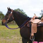 Chisolm Trail Horseback Riding