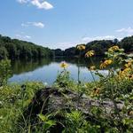 Rockefeller State Park Preserve