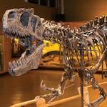 Cleveland Museum of Natural History