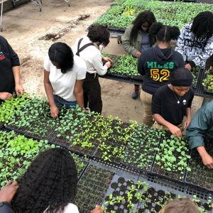 Jones Valley Teaching Farm