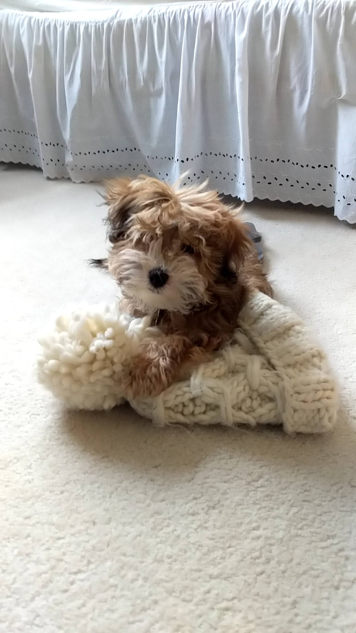 The Wedding Website of Josephine Liang and Adam Dugan