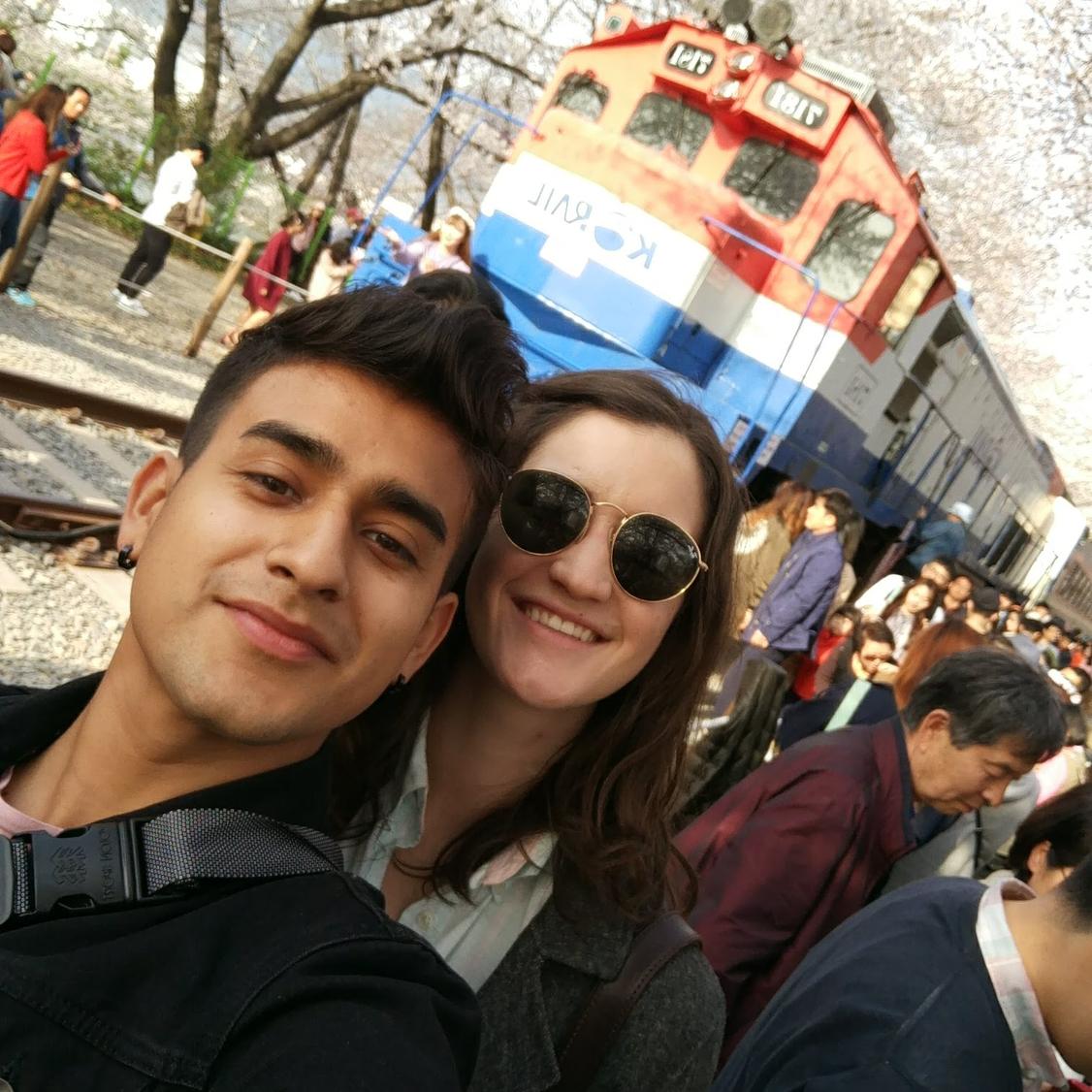 Jinhae cherry blossom festival!