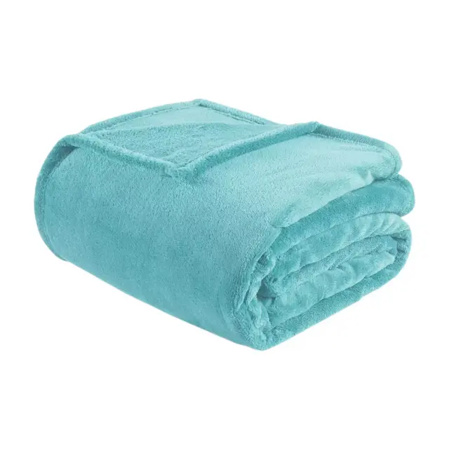 Intelligent Design Microlight Plush King Blanket in Aqua