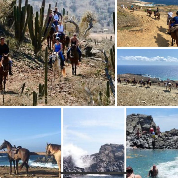 Horseback Riding On Our Honeymoon