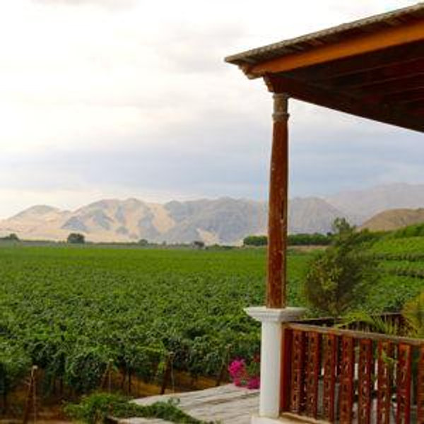 Garden Dinner with Local Wine in the Sacred Valley