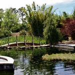 Jacksonville Zoo and Gardens