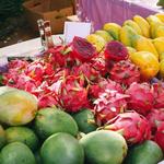 Quepos Farmers Market
