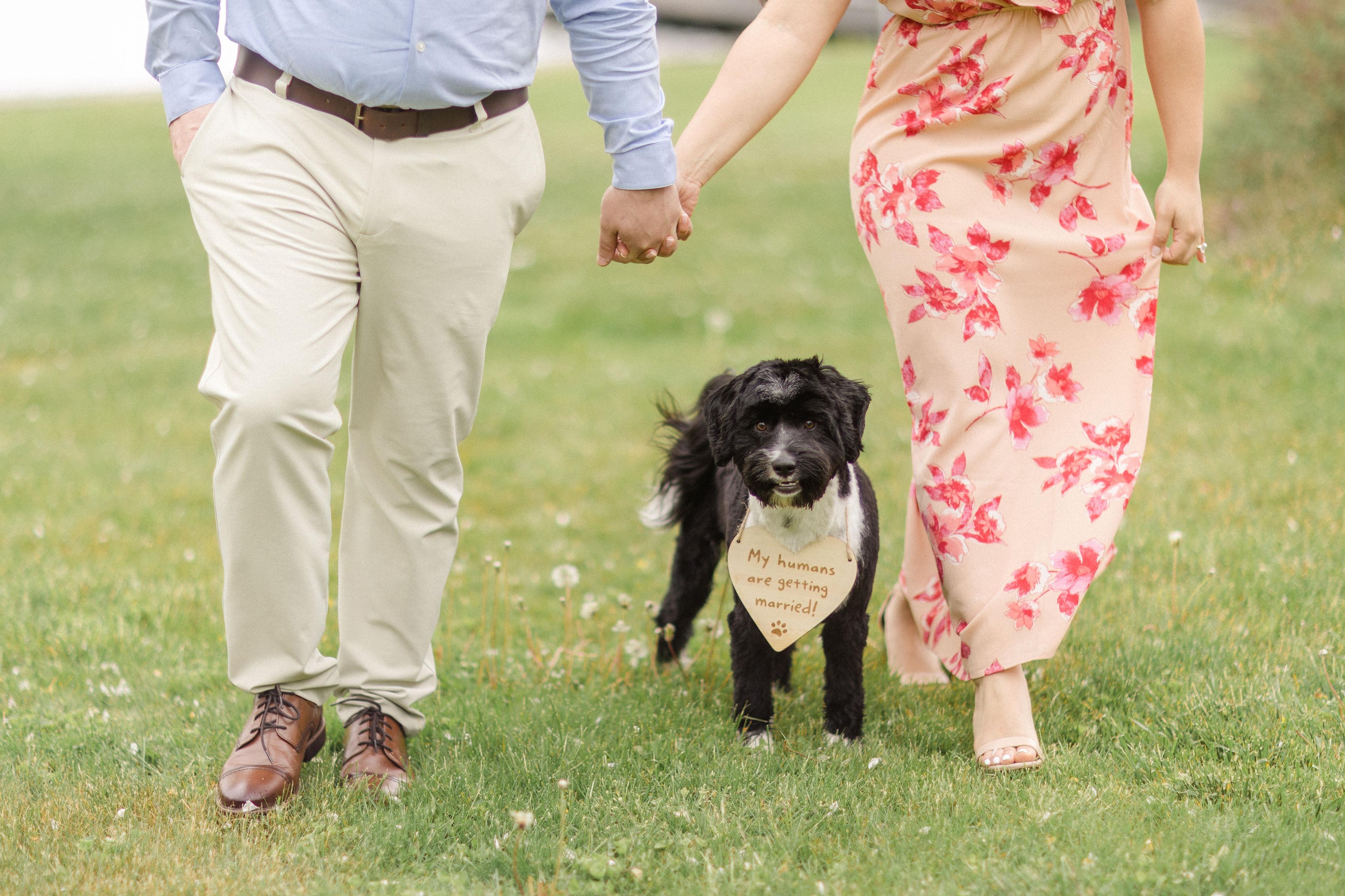 The Wedding Website of Jenelle Alvarez and Michael Umerich