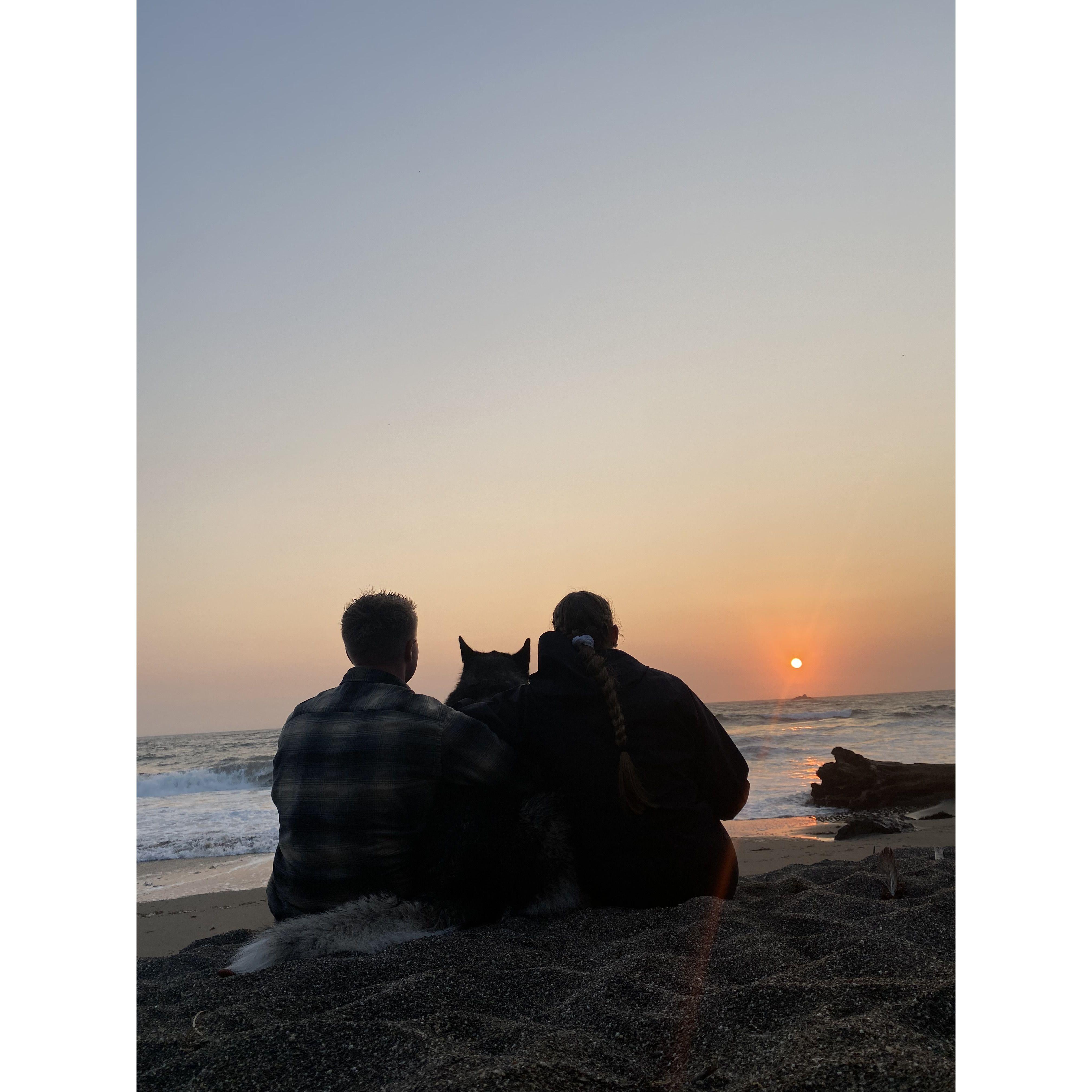 Bodega Bay 2021