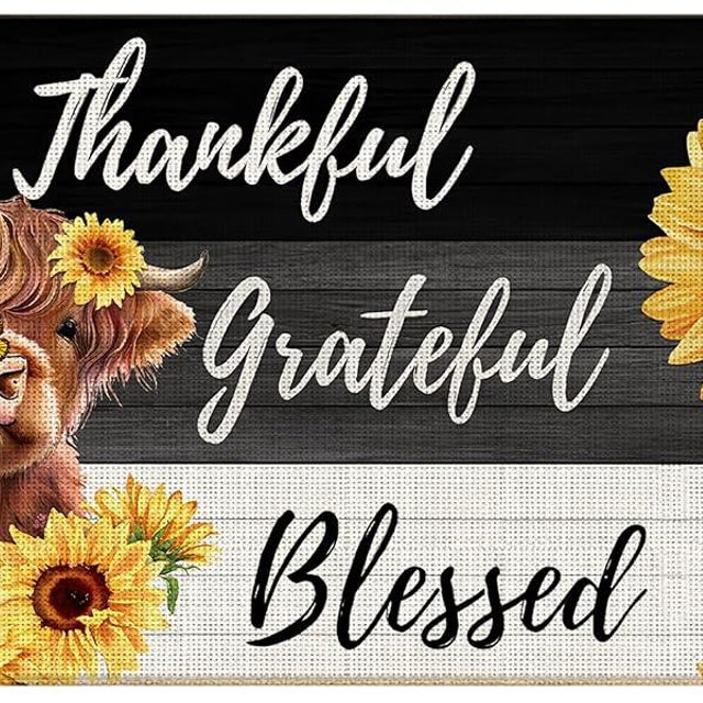 EVIHCG Rustic Highland Cow Sunflower Door Mat, Thankful Grateful Blessed Doormat Outdoor Indoor Entrance, Farmhouse Floral Cow Welcome Mats for Front Door, 17x30 Inch