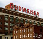 Budweiser Brewery Experience