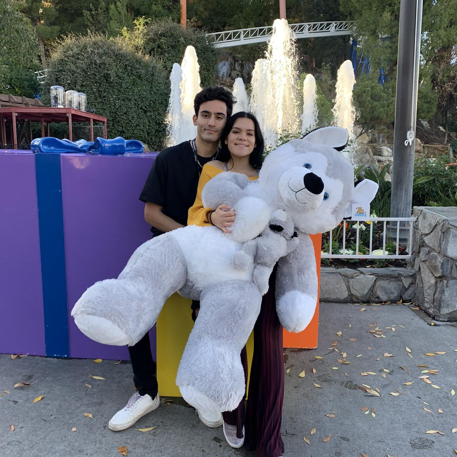 Six flags 2019