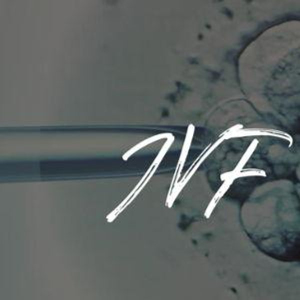 IVF Fund