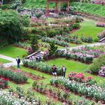International Rose Test Garden