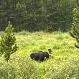 Rocky Mountain National Park