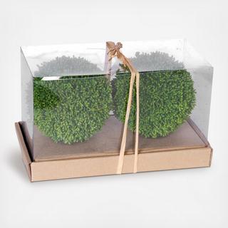 Boxwood Decorative Spheres, Set of 2