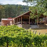 Bear Claw Vineyards & Winery, Inc.