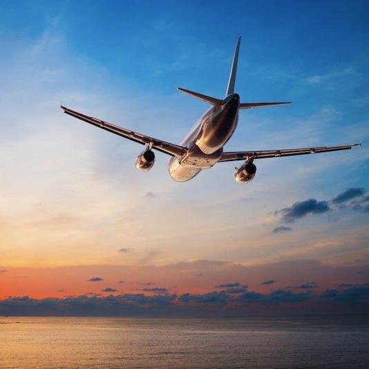 VIP Expedited Airport Arrival