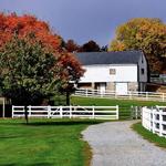 The Amish Farm and House