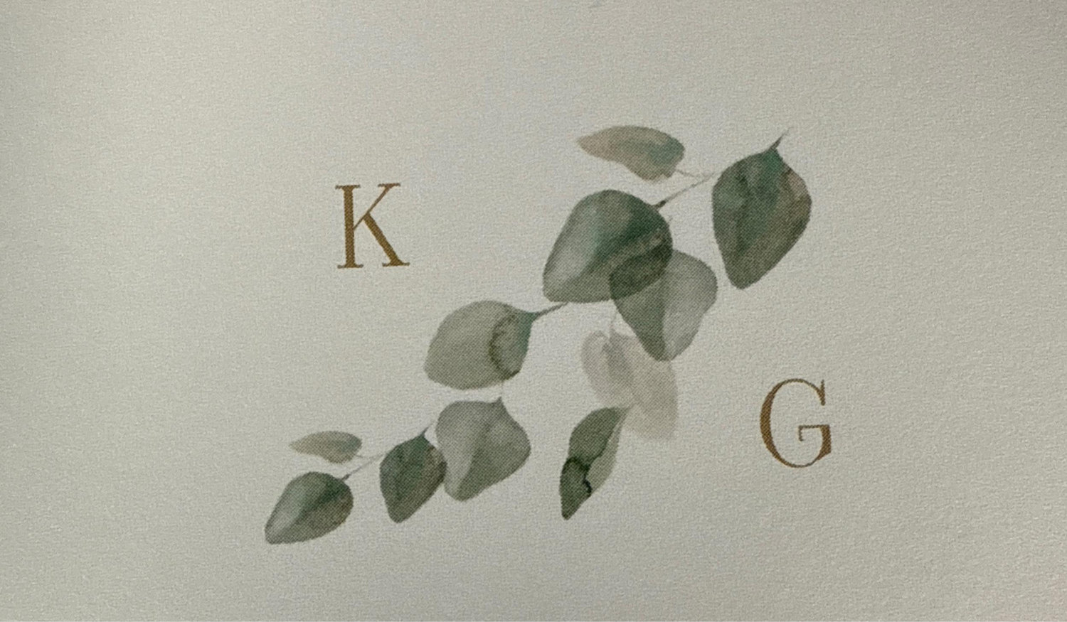 The Wedding Website of Katie Strakowski and Gregory King