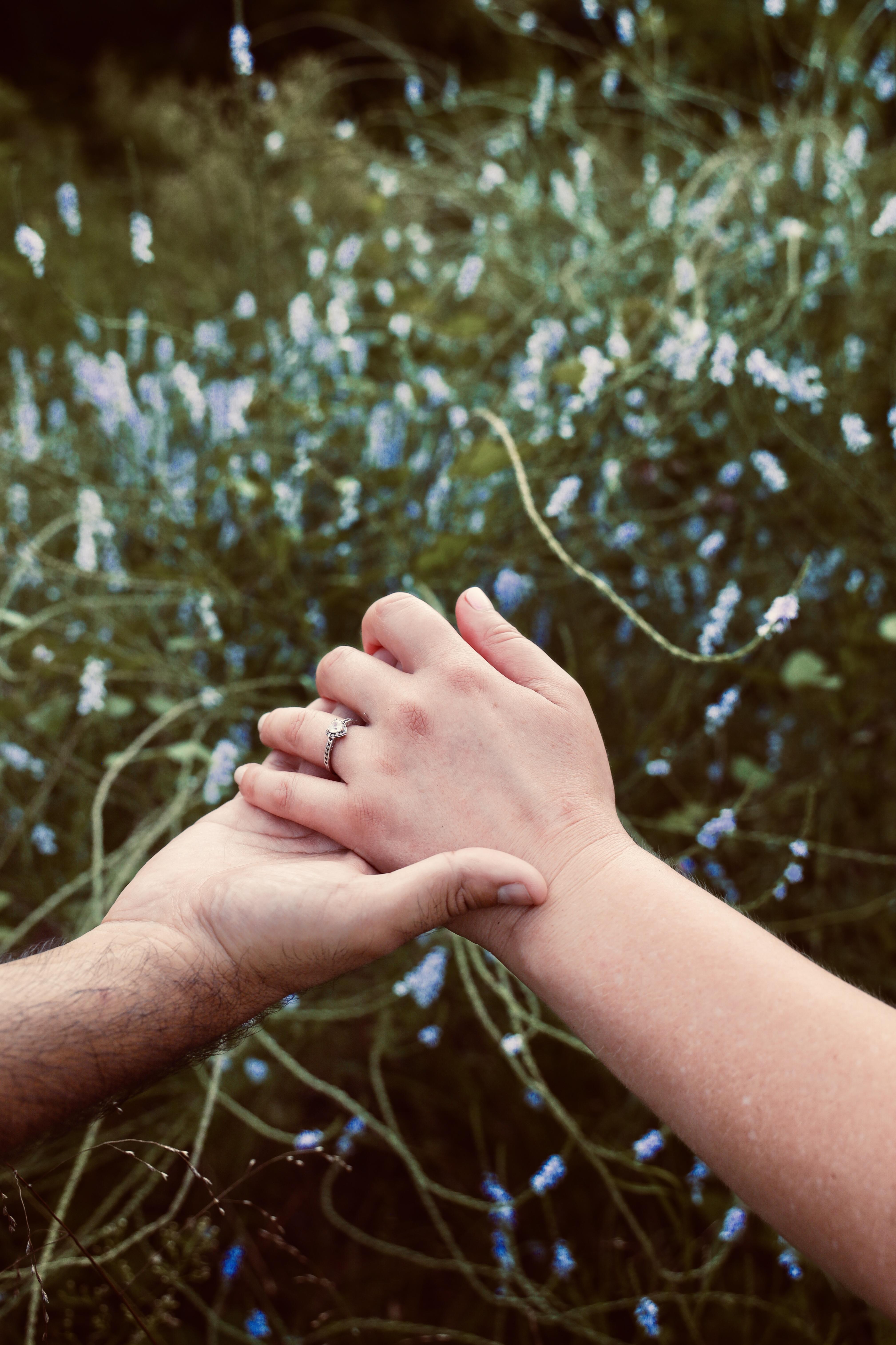 77500d91-bc00-40bf-bb2e-9a666897db1b