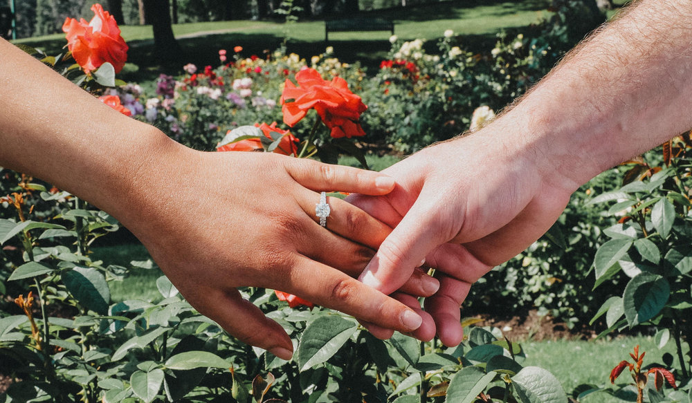 Julia Ciaccio and Reed Chronis' Wedding Website