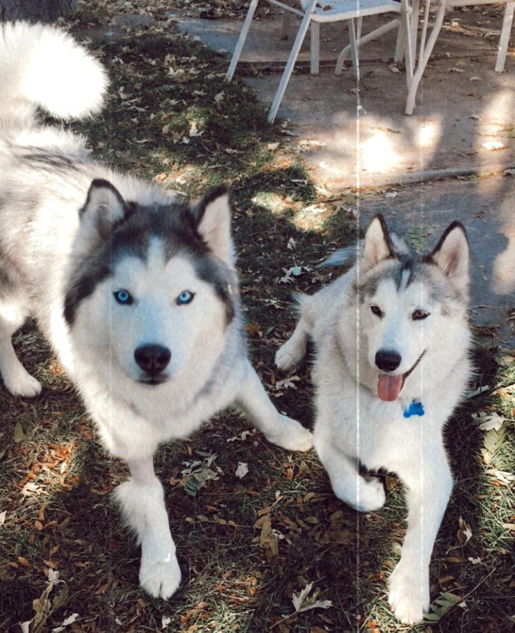 The Wedding Website of Sarah Hughes and Zack Petterson