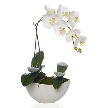 Faux Potted Phalaenopsis