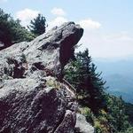 The Blowing Rock