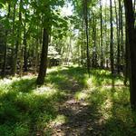 Rancocas State Park