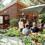 Kentucky Native Café