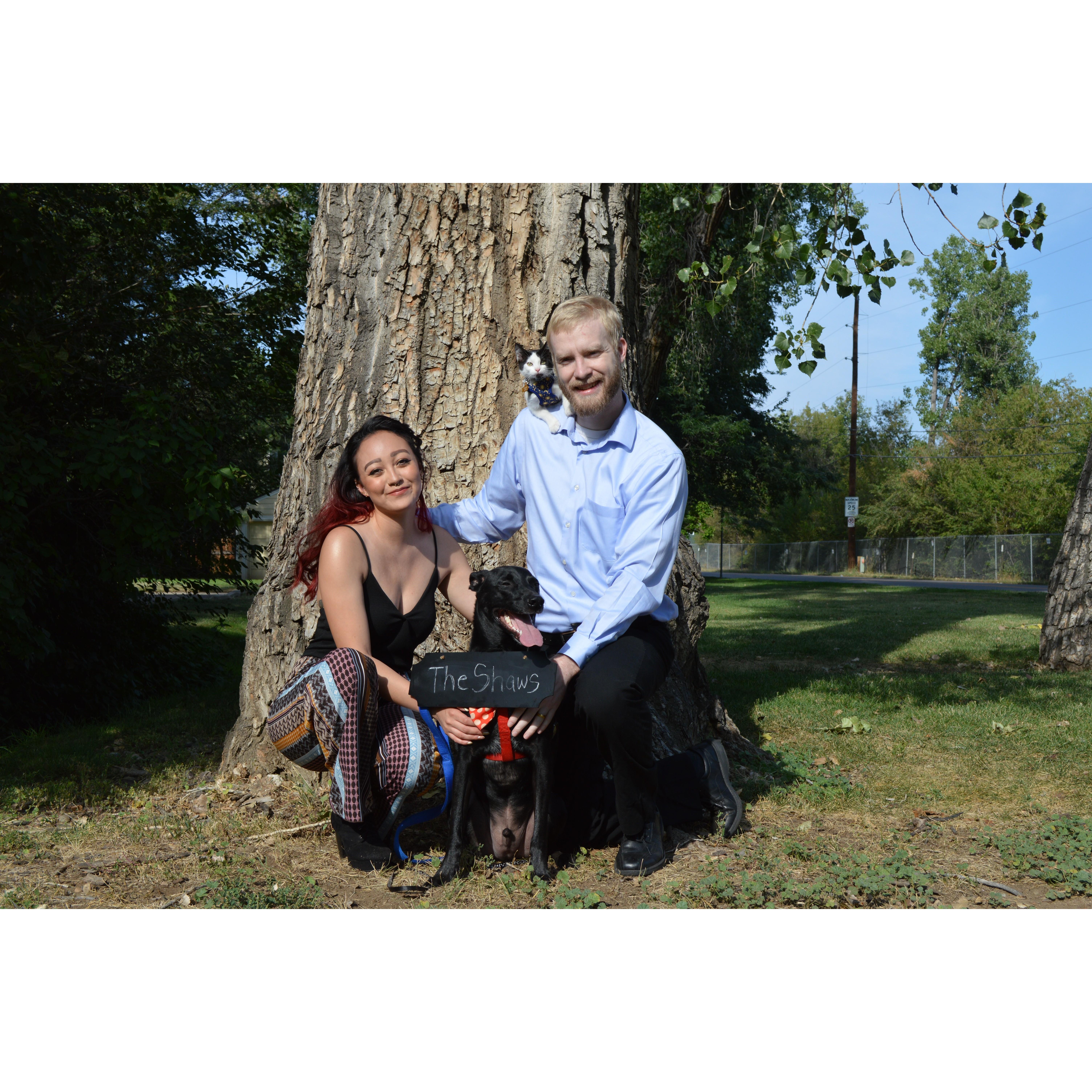 Our Happy Little Family of Four Legged Friends