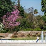 Los Angeles County Arboretum