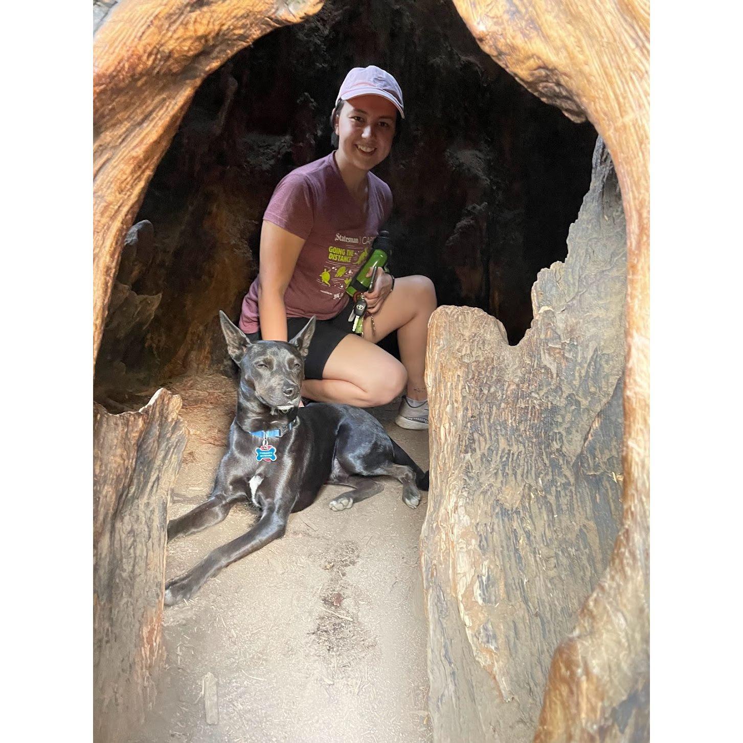 Don't you ever just hide inside a tree trunk?