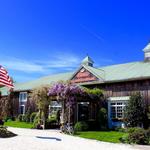 Cape May Winery & Vineyard