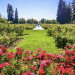 Municipal Rose Garden