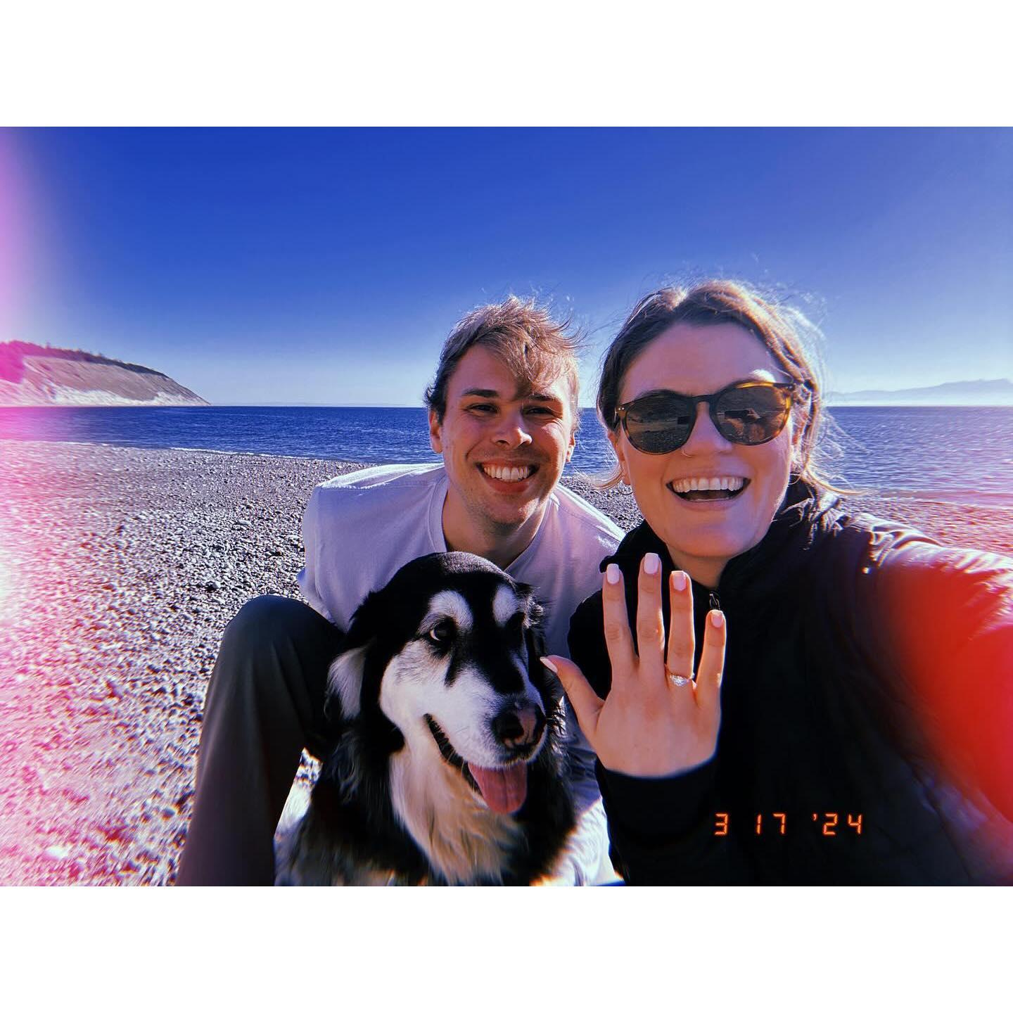 Right after Scott proposed at Ebey's Landing on Whidbey Island on 3/17/24. Bailey was happy to be involved.