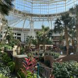 Gaylord Opryland Resort & Convention Center