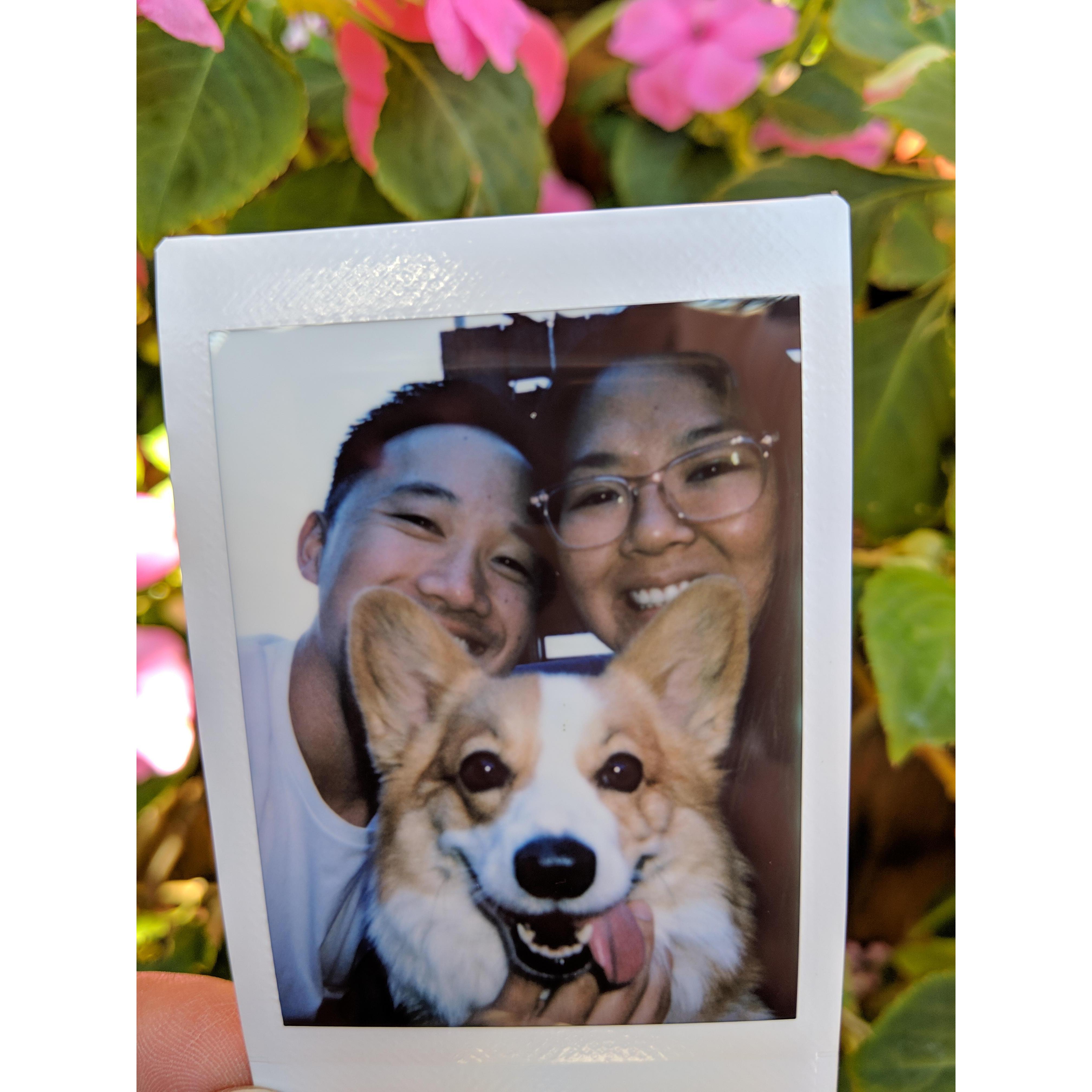 2019-1-27: G&C, having explored the lush, verdant Pacific Central Coast, would become engaged soon after in Palos Verdes. (w/ our loyal companion Corgi, Juno!)