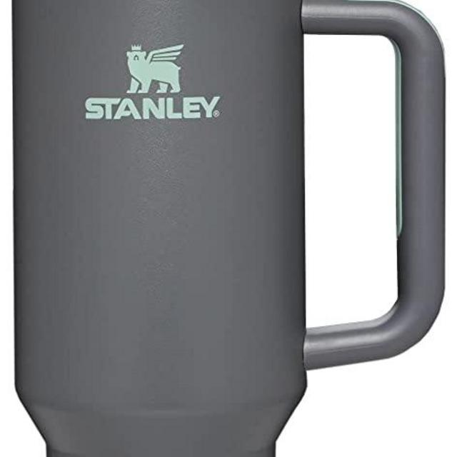 Stanley Quencher H2.0 FlowState Stainless Steel Vacuum Insulated Tumbler with Lid and Straw for Water, Iced Tea or Coffee, Smoothie and More