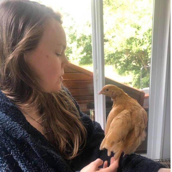 We got chickens
