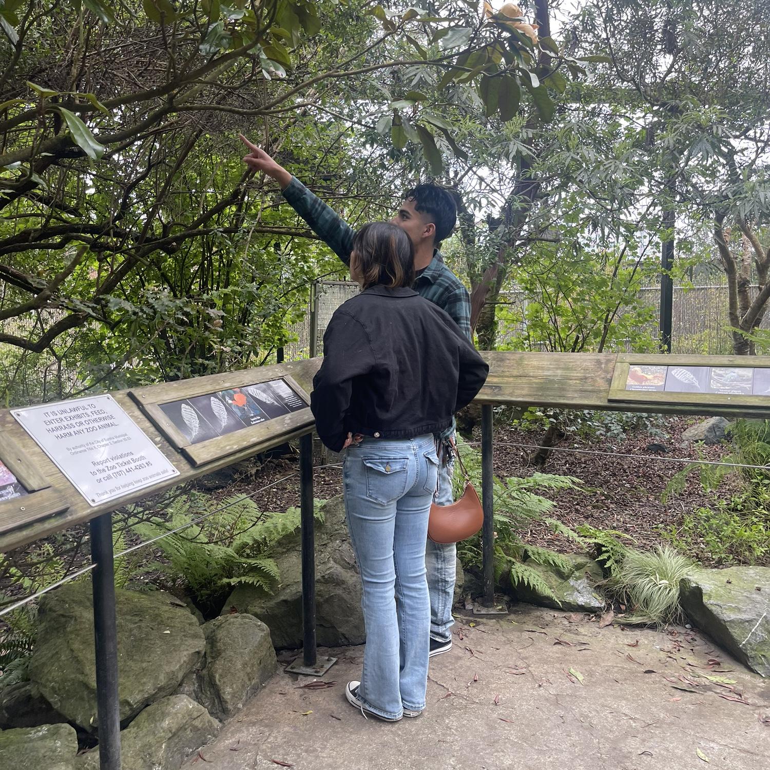 at the zoo :)