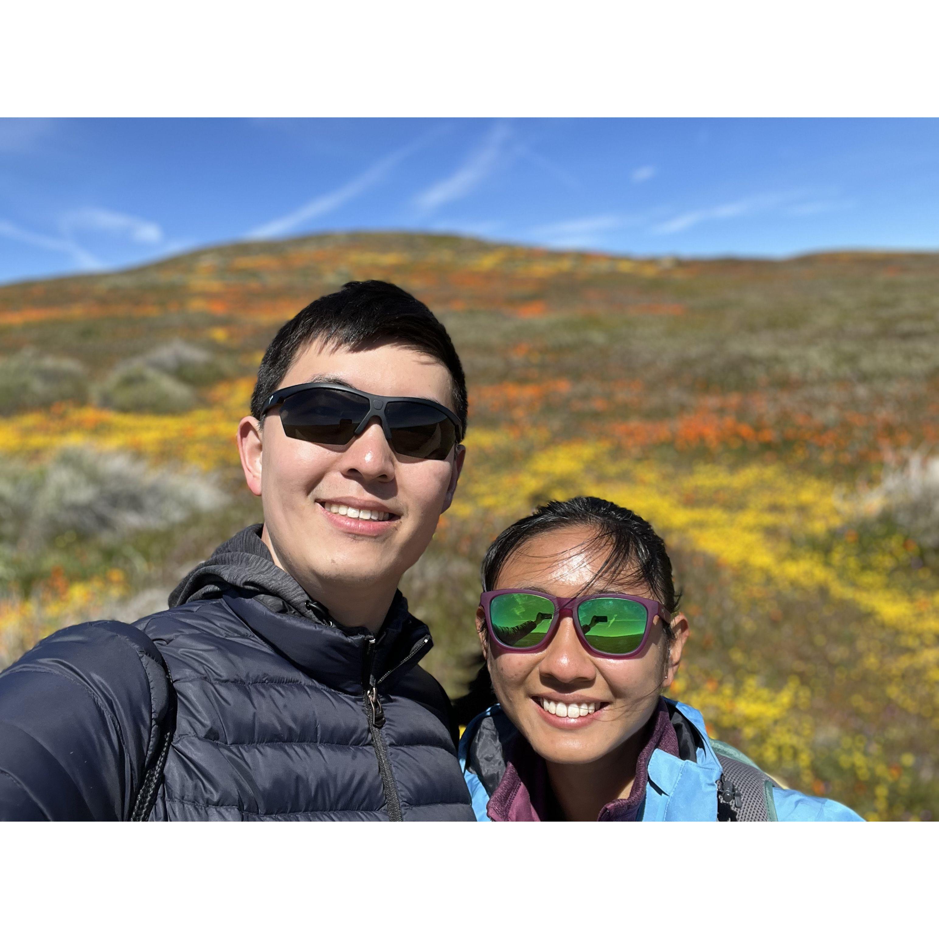 Seeing the superbloom together